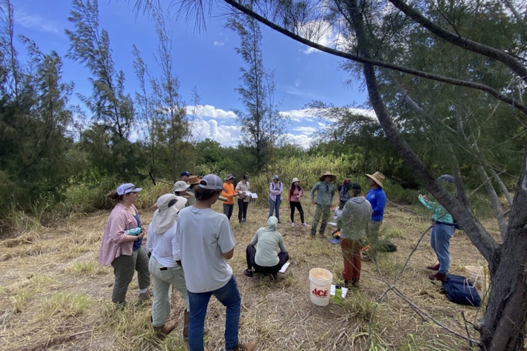 Hawaiʻi Allocates $1M for Carbon Smart Program to Support Sustainable Land Management and Combat Climate Change