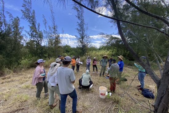 Hawaiʻi Allocates $1M for Carbon Smart Program to Support Sustainable Land Management and Combat Climate Change