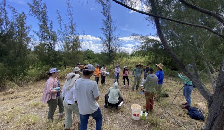 Hawaiʻi Allocates $1M for Carbon Smart Program to Support Sustainable Land Management and Combat Climate Change