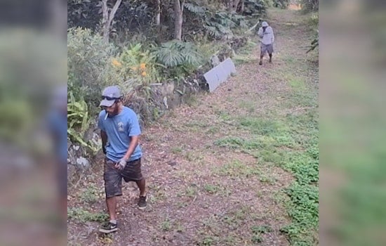 Hawaiʻi Island Police Seek Public's Help to Identify Suspects in Ocean View Theft Case