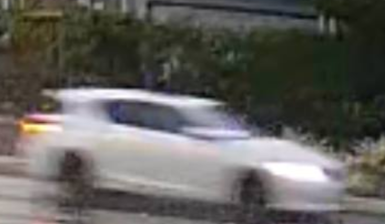 Hayward Police Seek Suspect in Fatal Hit-and-Run, Community Assistance Requested