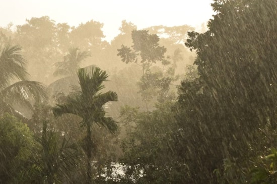Honolulu Braces for Increased Showers and Shift to Moderate Trade Winds