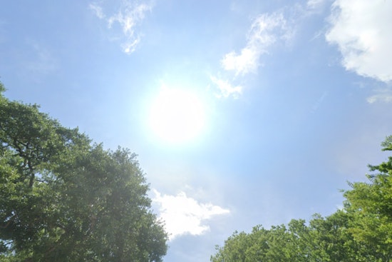 Houston Weather Alert – Sunny Days Ahead with Morning Fog as Residents Expect Warmer February and Longer Days