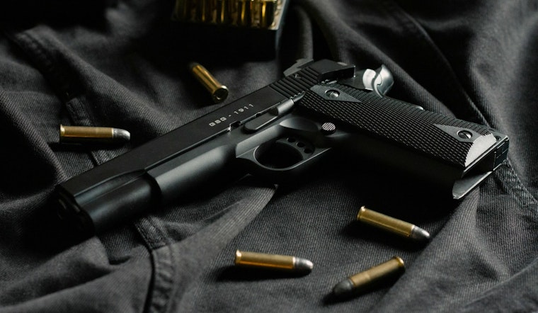 Illinois Judge Tosses Out Firearm Identification Law, Says Second Amendment Shields Home Gun Possession