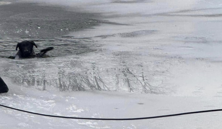 Indianapolis Fire Department Heroically Rescues Dog from Frozen Pond on East Side