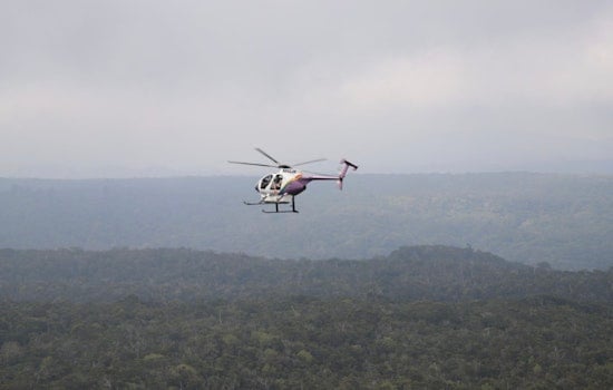 Innovative Mosquito Release on Kaua‘i Aims to Protect Endangered Birds from Malaria
