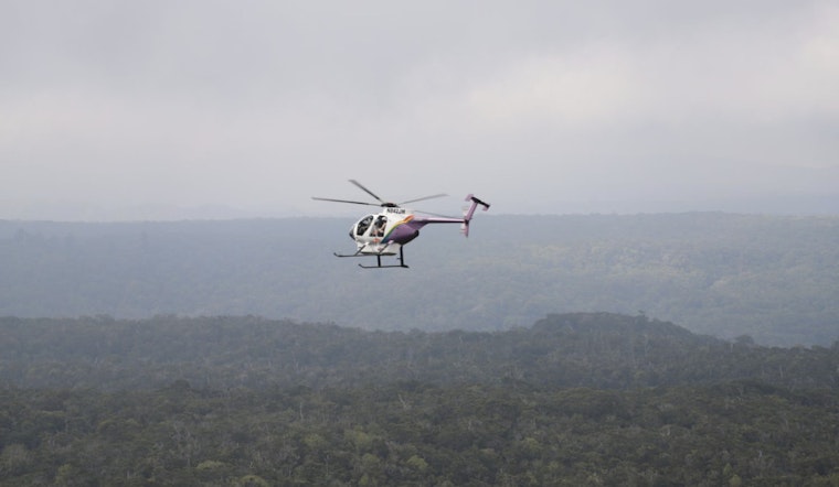 Innovative Mosquito Release on Kaua‘i Aims to Protect Endangered Birds from Malaria