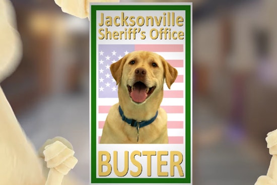 Jacksonville Sheriff's Office Welcomes New Stress-Relief Dog, Buster, to Academy Ranks