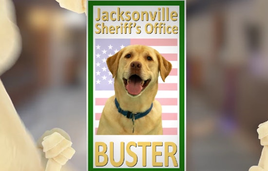 Jacksonville Sheriff's Office Welcomes New Stress-Relief Dog, Buster, to Academy Ranks
