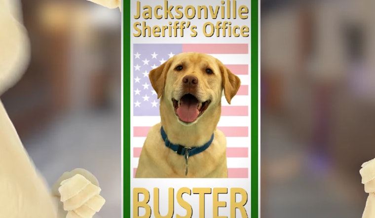 Jacksonville Sheriff's Office Welcomes New Stress-Relief Dog, Buster, to Academy Ranks