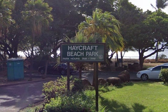 Join the Dune Restoration Effort at Haycraft Beach Park with UH Sea Grant and Partners on February 12