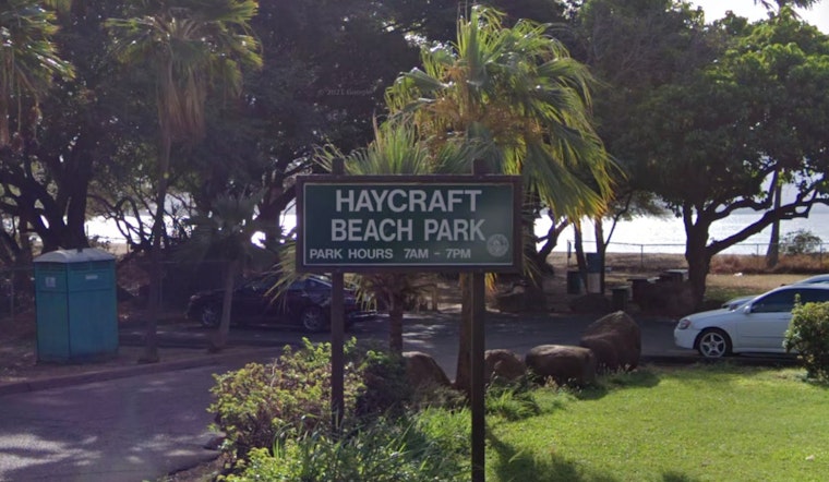 Join the Dune Restoration Effort at Haycraft Beach Park with UH Sea Grant and Partners on February 12