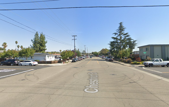 Juvenile Gang Suspects Arrested After Hatchet Chase and High-Speed Pursuit in Livermore