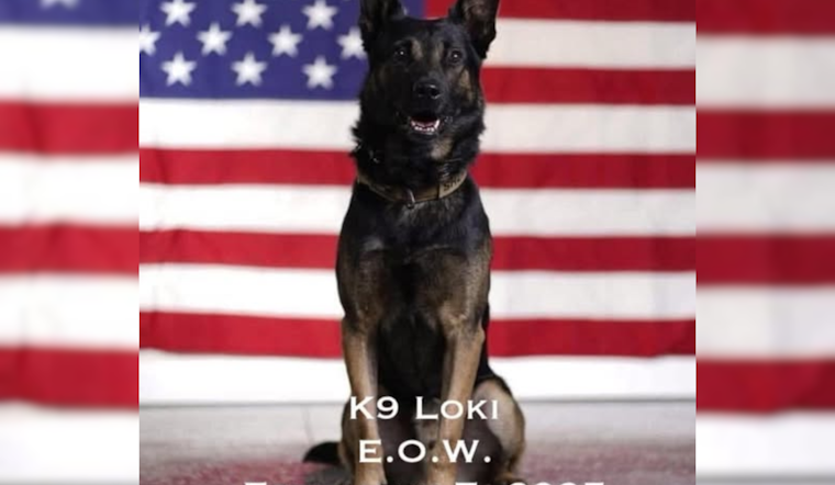 Knox County Sheriff's Office Honors Fallen K9 Officer Loki's Dedication to Duty