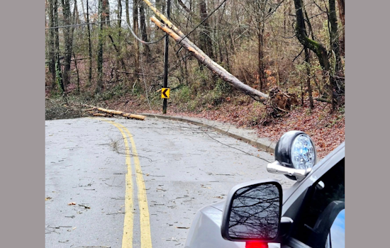 Knoxville Battles Fierce Winds: Trees and Power Lines Toppled, Wind Advisory Issued