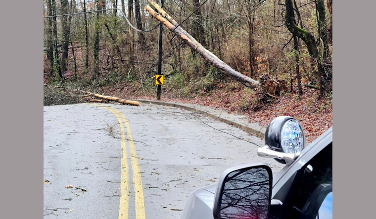 Knoxville Battles Fierce Winds: Trees and Power Lines Toppled, Wind Advisory Issued