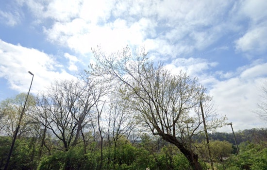 Knoxville Enjoys Sunny Respite Before Impending Week of Showers and Potential Flooding