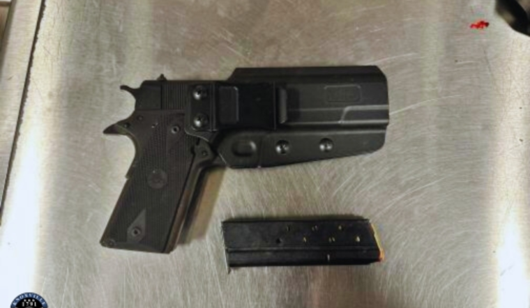 Knoxville Traffic Stop Leads to Discovery of Weapons and Suspected Drugs, Two Charged