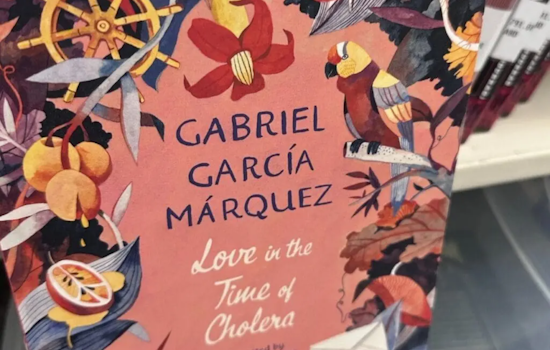 Las Cruces Public Libraries Host Romantic and Cultural Film Screenings for "February is for Lovers" Event Series