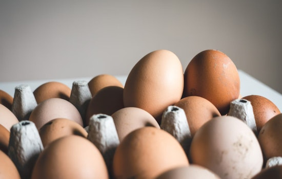 Las Vegas Residents Reel Under Surging Egg Prices Amid Bird Flu Crisis, AB171 Offers Glimmer of Hope