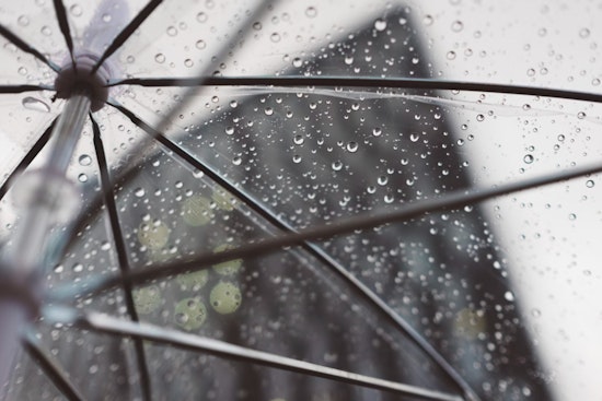 Light Showers and Breezy Winds on the Horizon for Northern California, Spring Weather in Sight