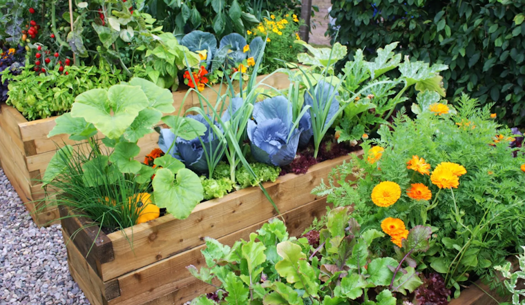 Longmont Library's 5th Annual Gardening Fair and Free Seed Library Blossom This February and March
