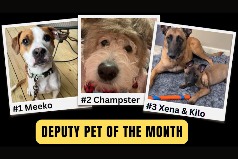 Lorain County Sheriff's Office Engages Community with "Deputy Pet of the Month" Contest Finalists
