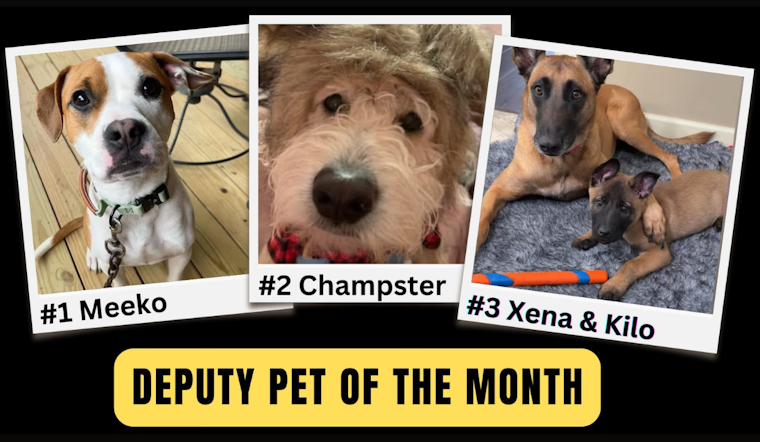 Lorain County Sheriff's Office Engages Community with "Deputy Pet of the Month" Contest Finalists