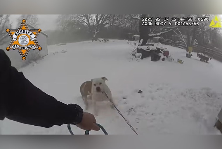Macomb County Deputy Hailed as Hero for Saving Family Dog from House Fire in Macomb Township