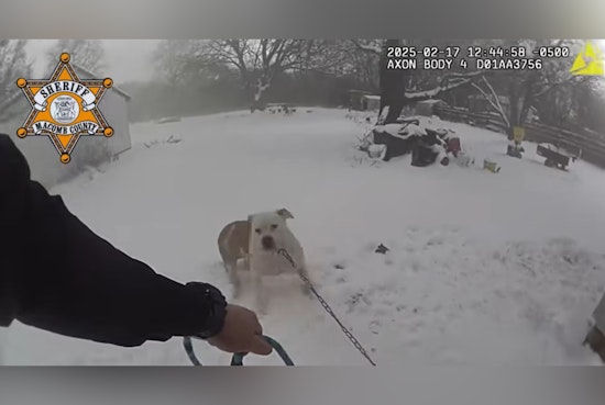 Macomb County Deputy Hailed as Hero for Saving Family Dog from House Fire in Macomb Township