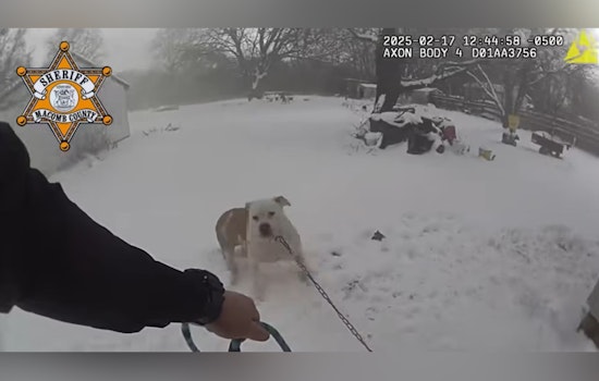 Macomb County Deputy Hailed as Hero for Saving Family Dog from House Fire in Macomb Township