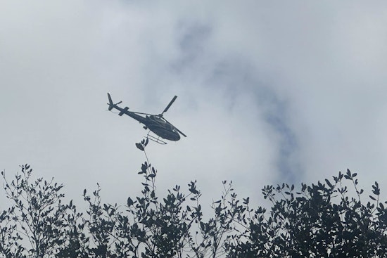 Man Fatally Shot in Spring Area, Authorities Conduct Manhunt for Two Suspects