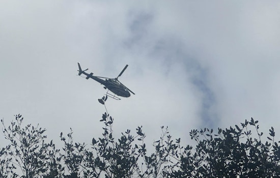 Man Fatally Shot in Spring Area, Authorities Conduct Manhunt for Two Suspects