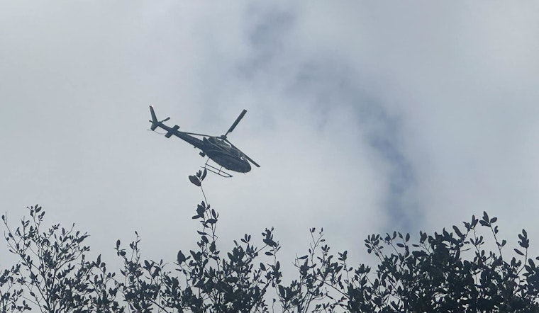 Man Fatally Shot in Spring Area, Authorities Conduct Manhunt for Two Suspects