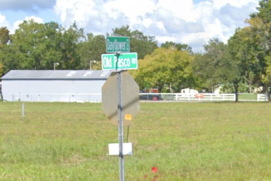 Manhunt Underway in Wesley Chapel After Fatal Shooting, Suspect at Large