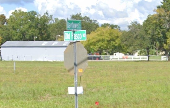 Manhunt Underway in Wesley Chapel After Fatal Shooting, Suspect at Large