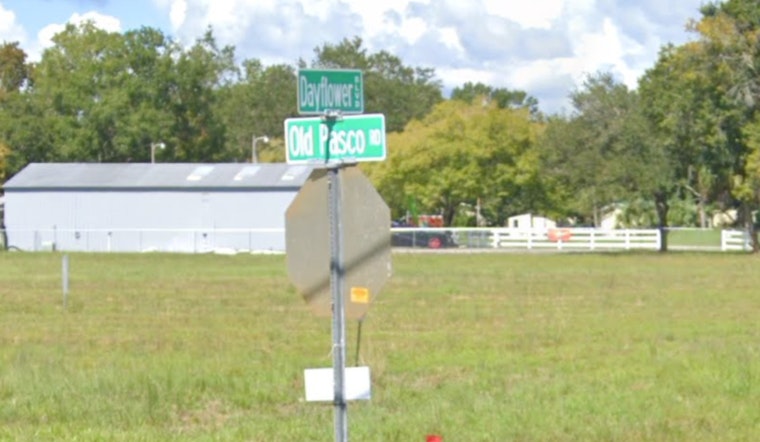 Manhunt Underway in Wesley Chapel After Fatal Shooting, Suspect at Large