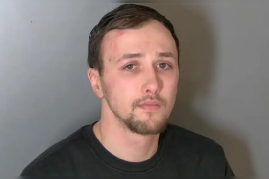Manistee Man Charged with Felony Animal Abuse After Beating Puppy in Macomb County