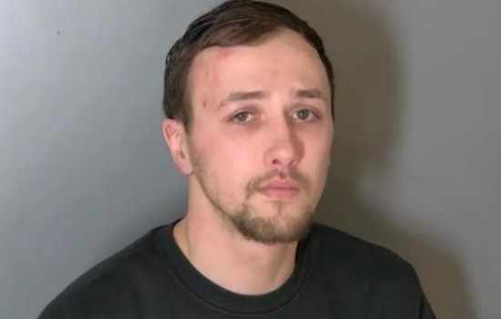 Manistee Man Charged with Felony Animal Abuse After Beating Puppy in Macomb County
