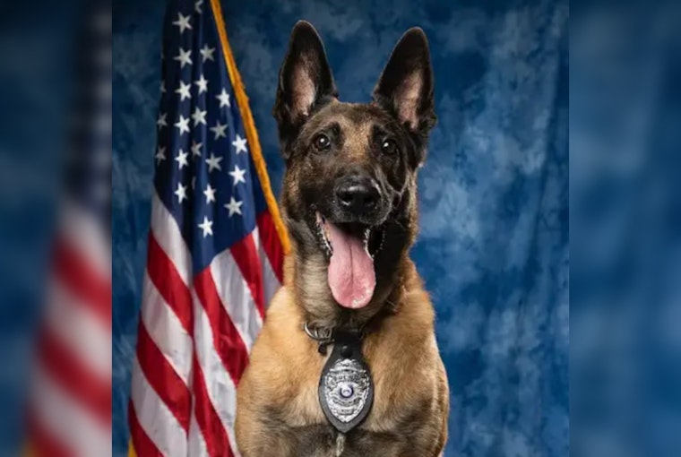 Marietta Police Department Mourns the Loss of Beloved Retired K9 Atos