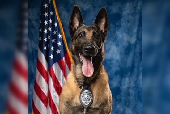 Marietta Police Department Mourns the Loss of Beloved Retired K9 Atos