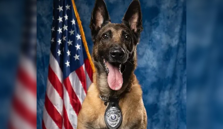 Marietta Police Department Mourns the Loss of Beloved Retired K9 Atos