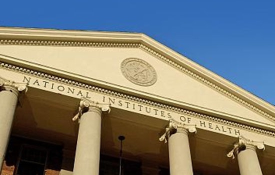 Massachusetts Biomedical Sector in Turmoil as Trump Administration Announces Severe NIH Funding Cuts