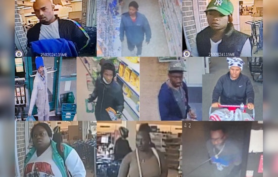 Memphis Police Seek Tips in Spree of Shoplifting Cases Across Local Discount Stores
