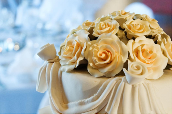 Mentor Bridal Boutique to Unveil Matrimonial Elegance at Springbrook Gardenhouse Event