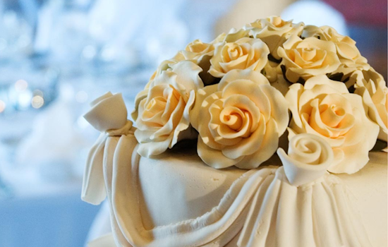 Mentor Bridal Boutique to Unveil Matrimonial Elegance at Springbrook Gardenhouse Event
