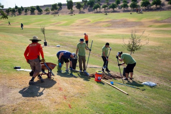 Mesa Residents Invited to Participate in Tree Planting Event at Sherwood Park for "Love My Park Month"