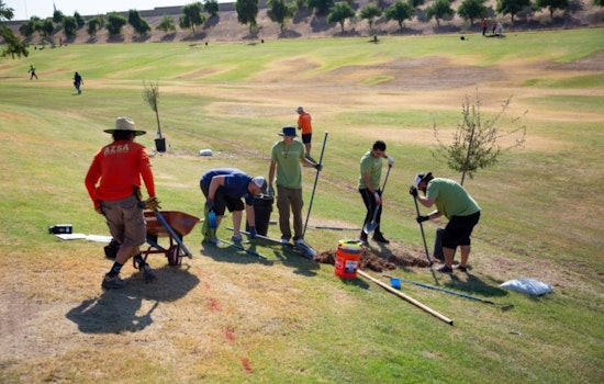 Mesa Residents Invited to Participate in Tree Planting Event at Sherwood Park for "Love My Park Month"