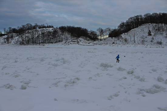Metro Detroit Schools Prepare for Snow Impact: Remote Learning and Safety in Focus