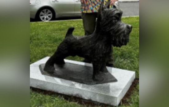 Metropolitan Police Seek Public's Help in Solving Unusual 500-Pound Bronze Dog Statue Theft in Southeast DC
